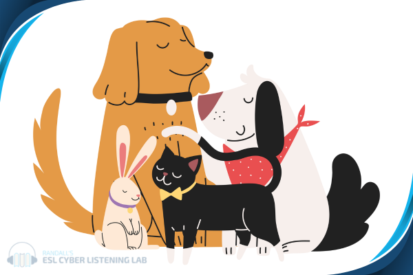 Two dogs, a cat, and a rabbit